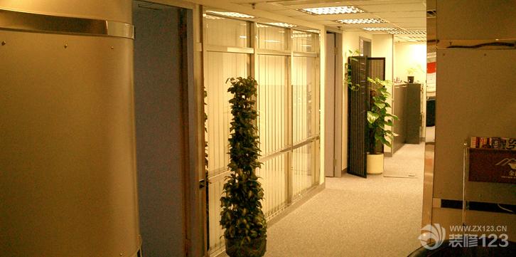 最新现代简约办公室风水植物实景图欣赏
