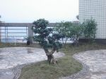 2025现代温馨三居室露天阳台实景图欣赏