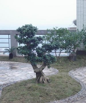 2025现代温馨三居室露天阳台实景图欣赏