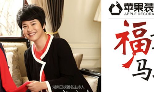 湖南苹果装饰
