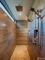 最新现代风格整体淋浴房仿木地板瓷砖图片