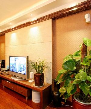 120平方户型东南亚风格客厅电视组合柜效果图欣赏
