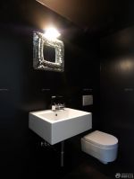 2025卫生间入墙式马桶设计图