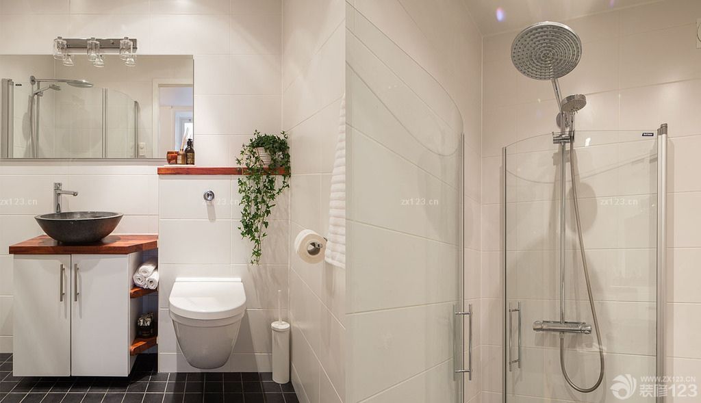 温馨50平方一室一厅卫生间玻璃隔断图