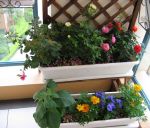 最新简单小阳台美式花园装修图片大全