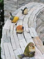 简约别墅花园设计装饰图片