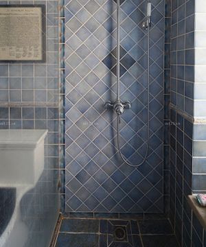 卫生间淋浴房瓷砖贴图欣赏