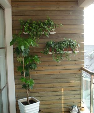 最新现代风格阳台防腐木花架装修案例 