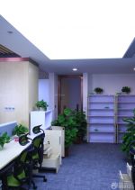 环保现代办公室装修风格风水植物摆放图片