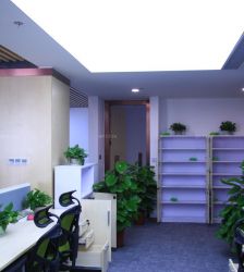 环保现代办公室装修风格风水植物摆放图片