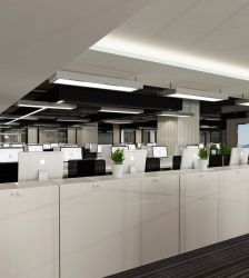现代办公室装修风格风水植物摆放效果图片