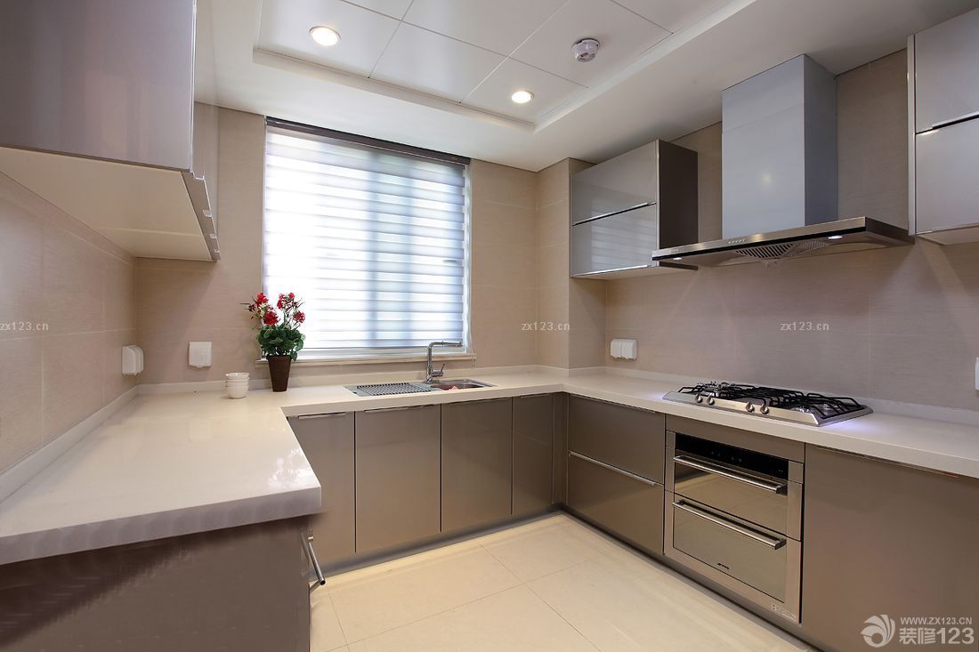 最新厨房铝合金组合柜装修风格大全