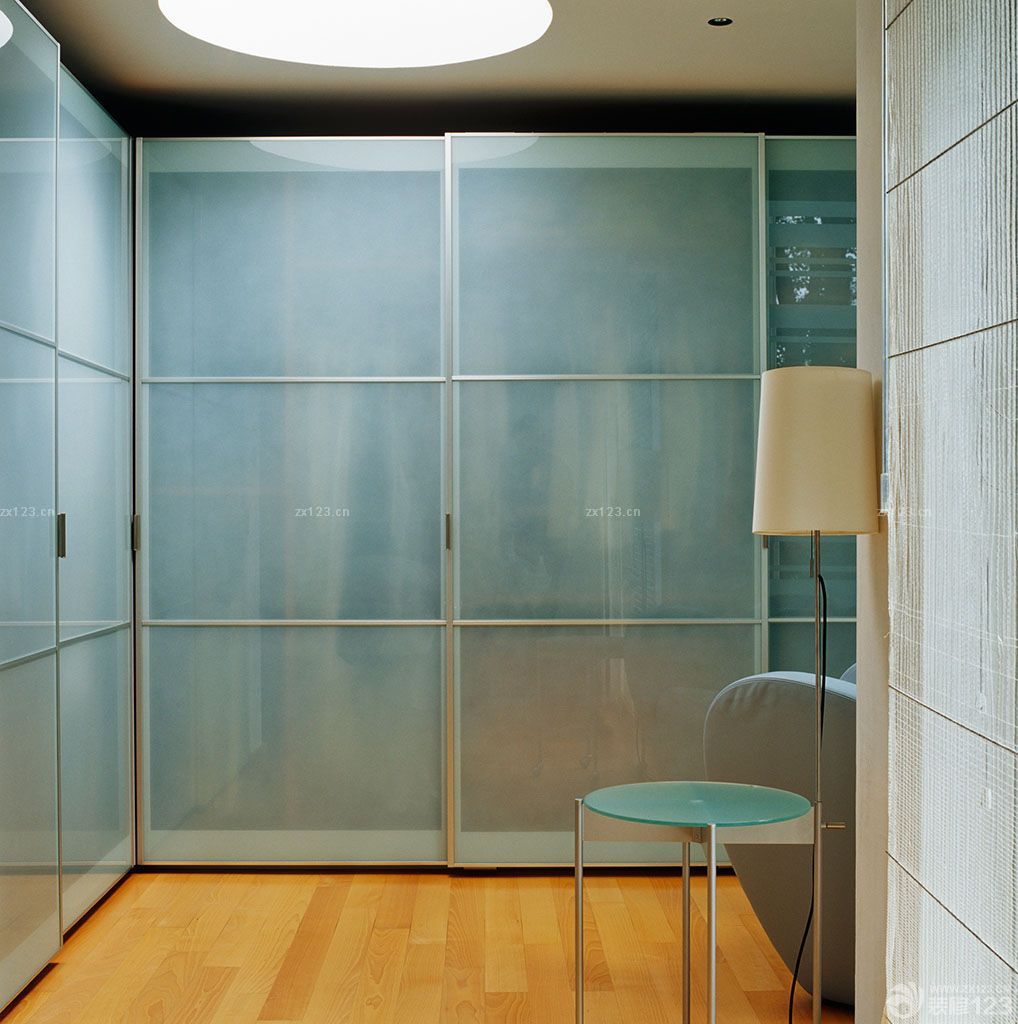 家庭室内衣柜玻璃门图片大全