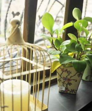 最新家装客厅飘窗台面图片