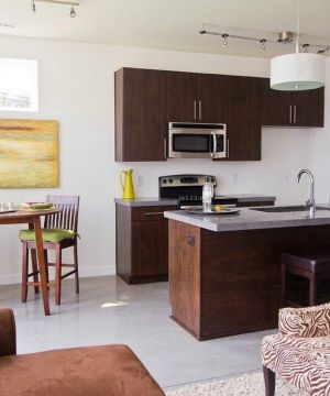 最新经典30平米一室一厅超小厨房装修效果图片