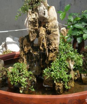 2025现代家装假山盆景设计图片