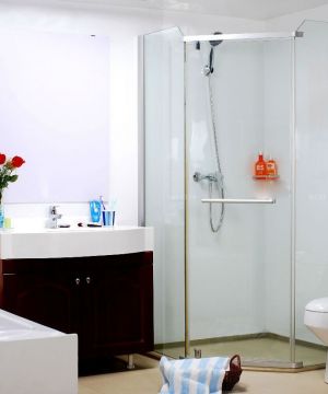 现代风格整体浴室柜装修效果图片
