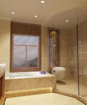 卫生间淋浴房百叶窗帘设计图片欣赏