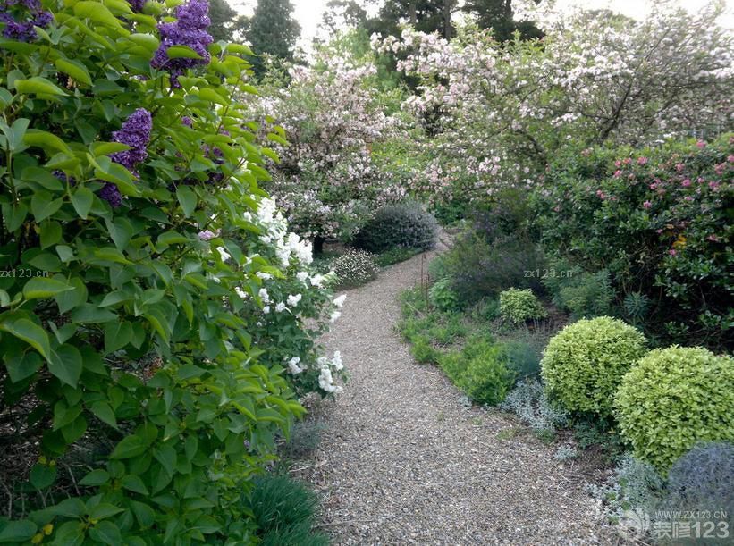 2025园林景观设计效果图片