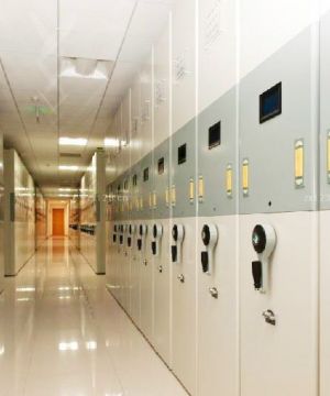 2025密集铁皮柜设计效果图片
