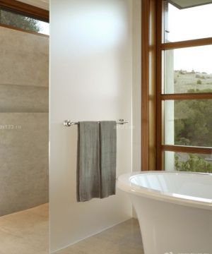 最新小浴室磨砂玻璃隔断装修效果图