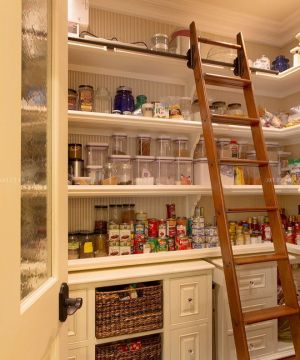 家装厨房储物架梯子设计图片大全