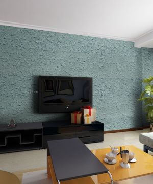 最新简装两室一厅硅藻泥电视背景墙设计样板大全