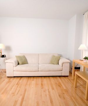 现代简约一室一厅实木地板贴图效果图