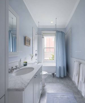 卫生间瓷砖浴帘颜色搭配效果图片
