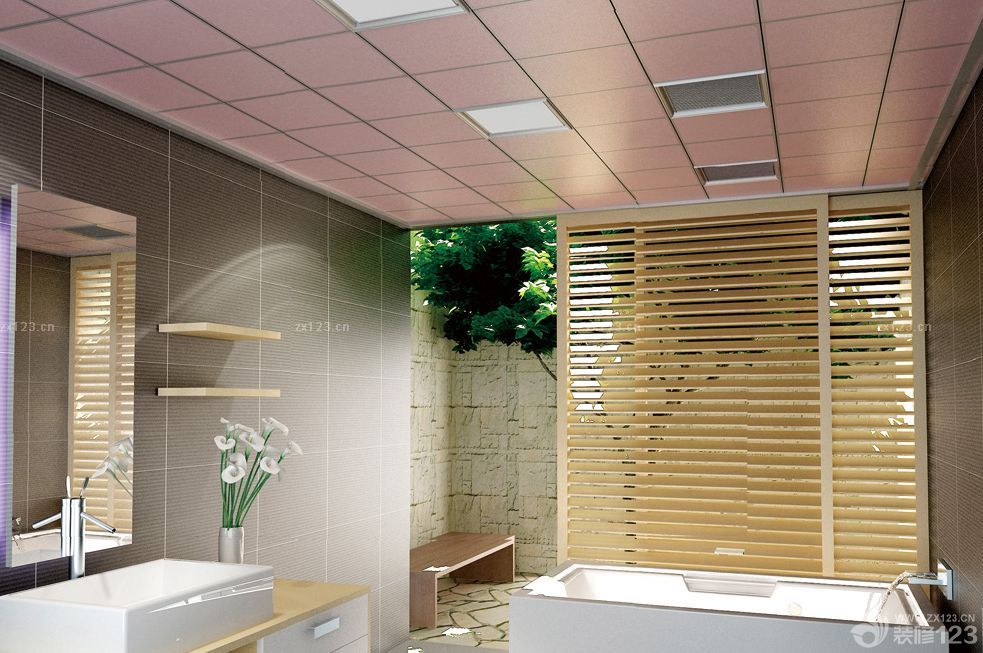 卫生间浴室pvc扣板吊顶装修设计图