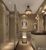 家装卫生间淋浴房艺术灯具设计图片