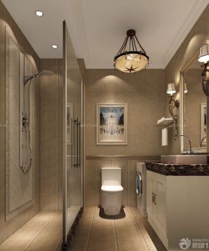 家装卫生间淋浴房艺术灯具设计图片
