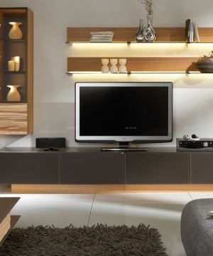 最新现代简约风格家装客厅博古架设计效果图片