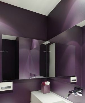 公共卫生间紫色墙面装修效果图大全