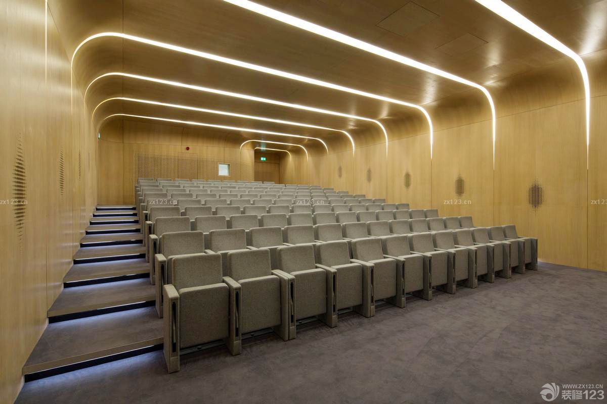 个性阶梯教室吊顶灯装修实景图