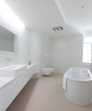 最新130平米户型的卫生间白色墙面装修效果图片