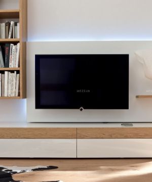 简约现代客厅组合电视柜设计效果图片欣赏