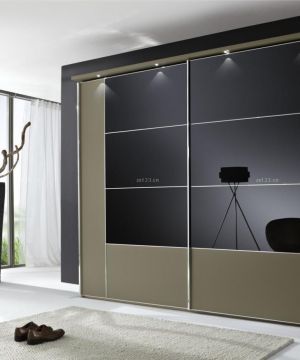 2025雅致现代风格卧室衣柜门效果图片