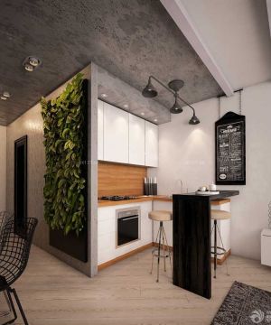 60平米房屋开放式厨房装修效果图片