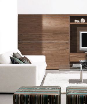 2025最新室内装修简约风格电视墙效果图欣赏