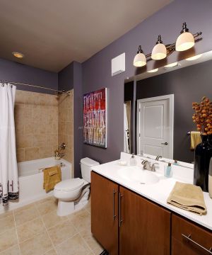 混搭设计小户型室内卫生间浴室装修图片大全