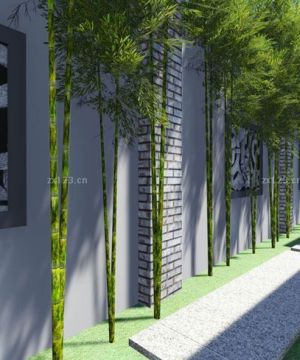 2023最新庭院围墙设计效果图大全