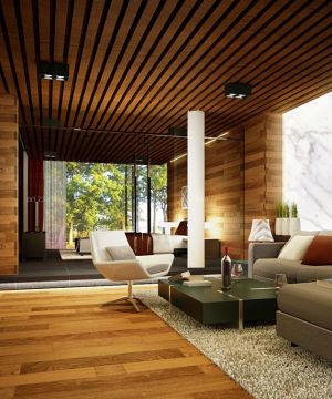 2025最新时尚农村别墅客厅设计效果图片大全