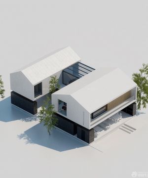 最新农村小型别墅家居设计图大全