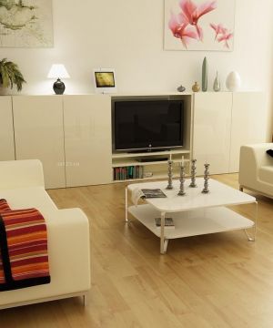 最新60平米房屋客厅电视墙设计装修图片