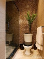 小户型卫生间马赛克背景装修效果图大全2025图片