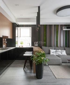 2025简约室内装修效果图片大全