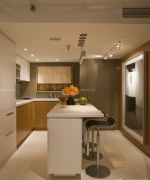 最新55平米小户型厨房吧台装修效果图片大全