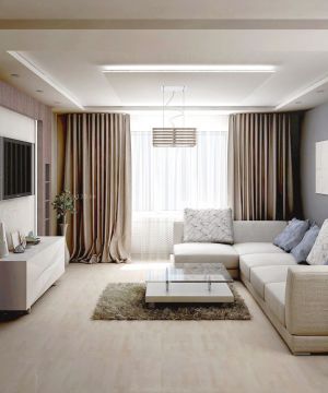 最新精致小客厅纯色窗帘装修效果图欣赏