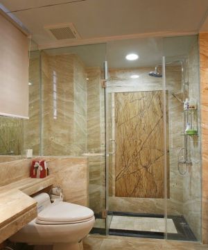 2023快捷酒店室内卫生间淋浴隔断图片